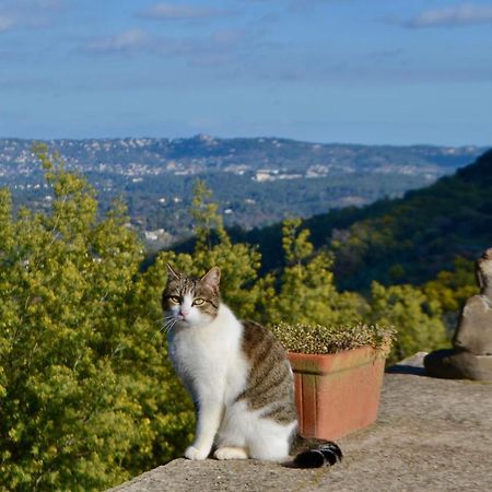Amoureux Du Calme Et De La Nature Tanneron Exterior foto